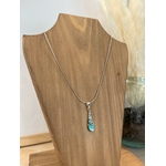 abalone2
