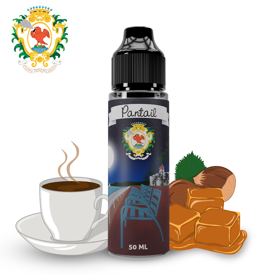 elfbar nachfüll pod läuft aus E-liquides pour Cigarettes électroniques- Clopa Cabana
