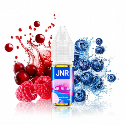 mr-blue-10pcs-e-liquide-jnr-copie
