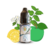 TESTARD