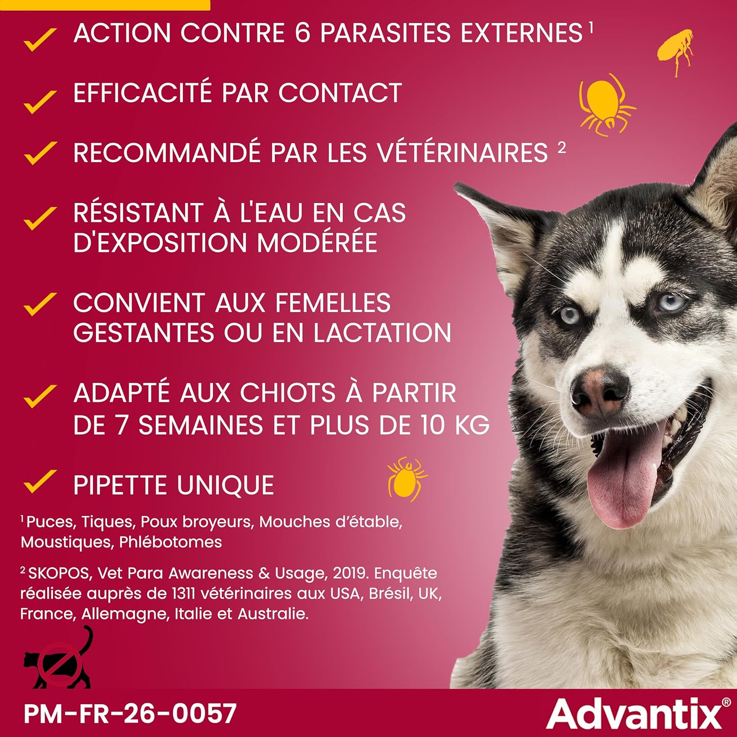 91xcCTQHtGL._AC_SL1500_