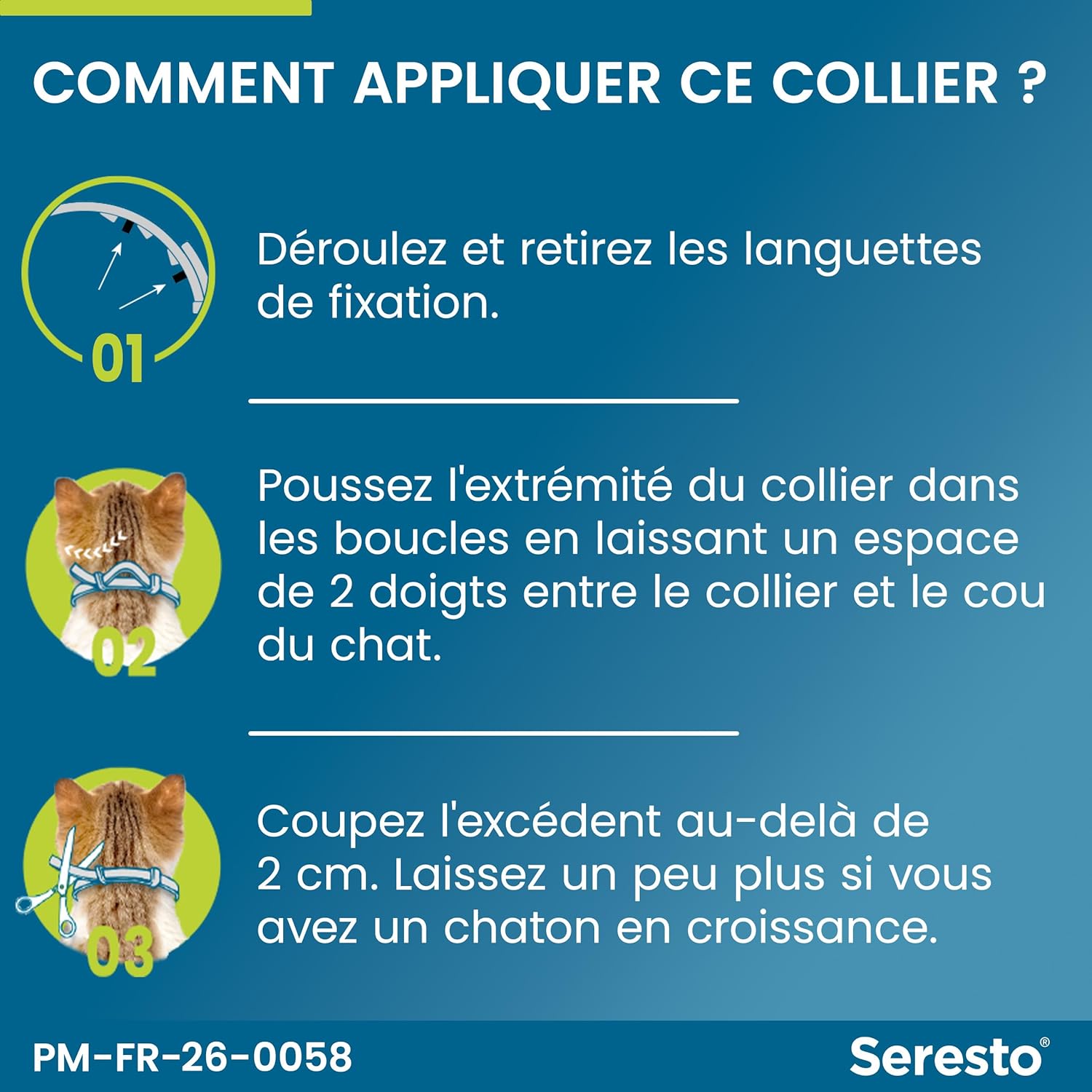 8192jMEQgHL._AC_SL1500_