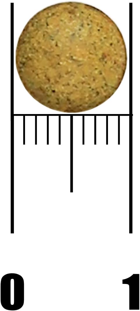 51XjCCDBelL._AC_SL1500_