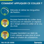 8192jMEQgHL._AC_SL1500_