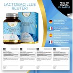 81hc1xVu3WL._AC_SL1500_