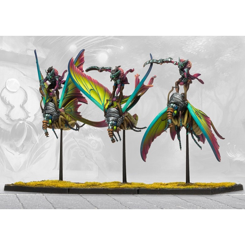 conquest-weaver-courts-one-player-starter-set-2