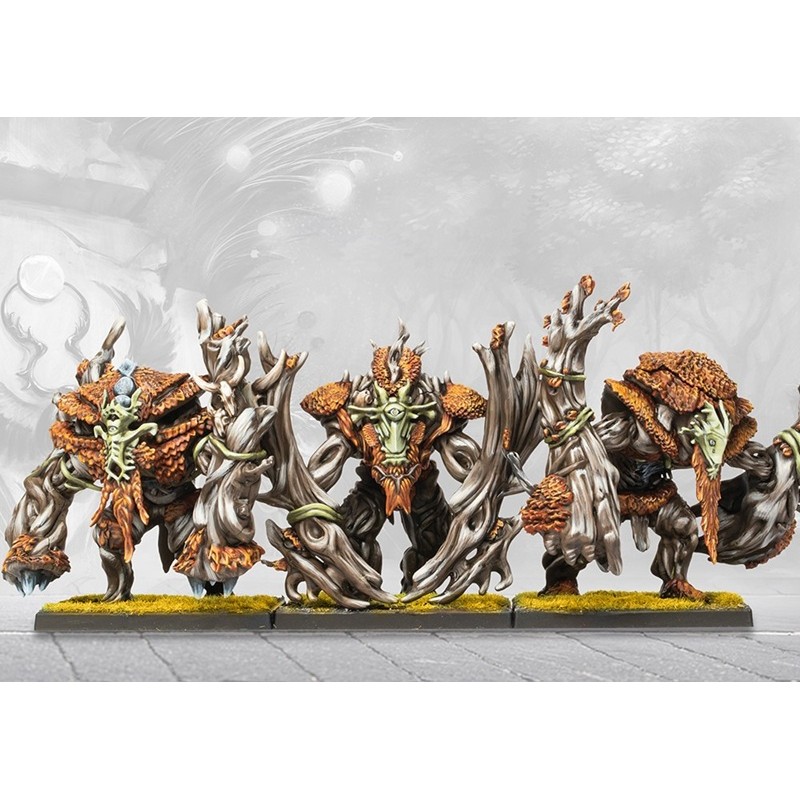 conquest-weaver-courts-one-player-starter-set-3