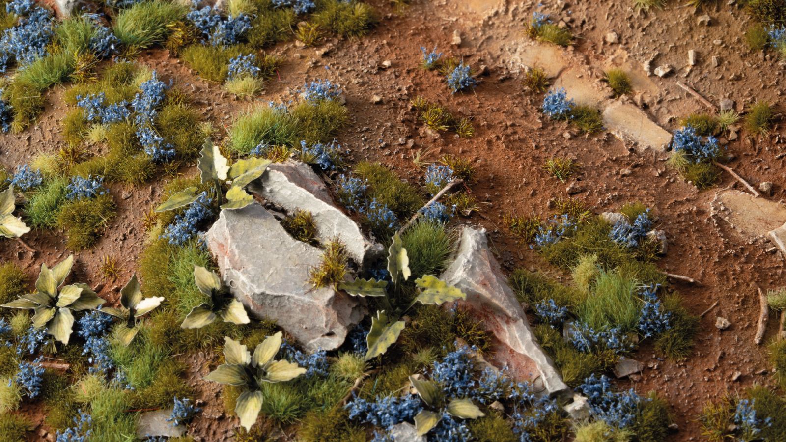 cornflower-tiny-flowers-diorama-1600x900