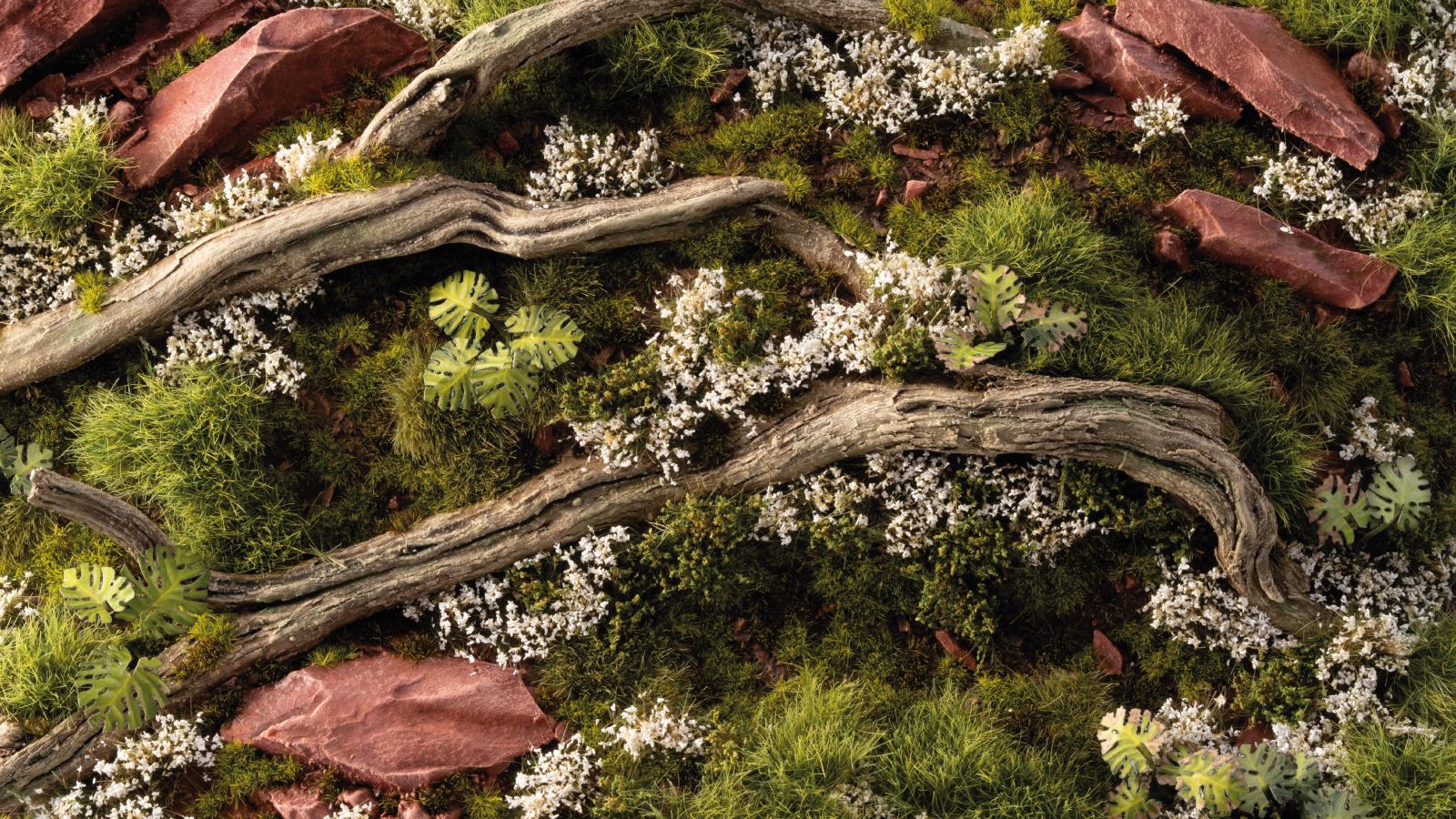 white-rose-flowers-diorama-1600x900