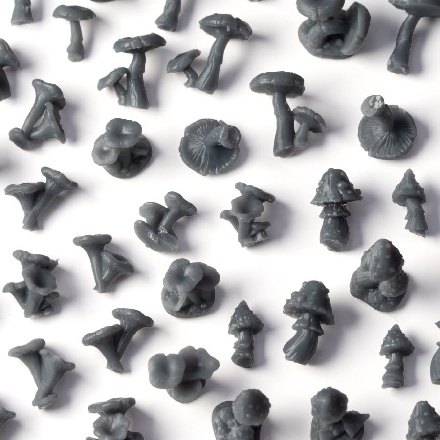 4_Forest Mushrooms_Detalhe-2_900x900-100
