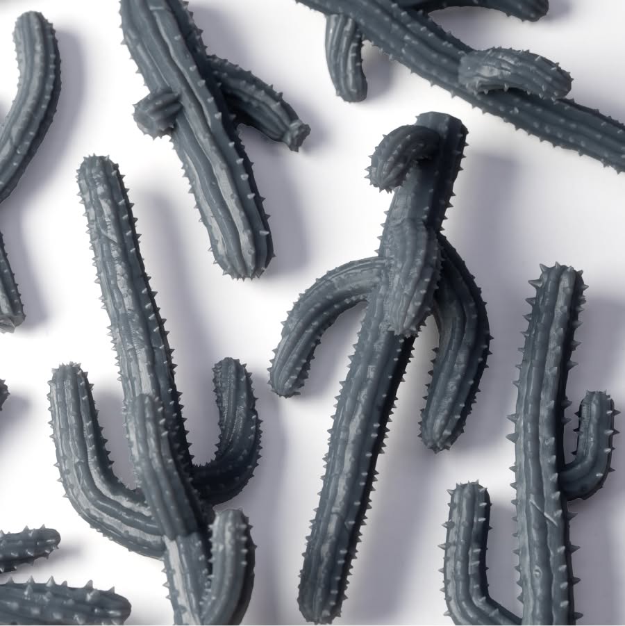 3_Saguaro Cacti_Detalhe-1_900x900-100