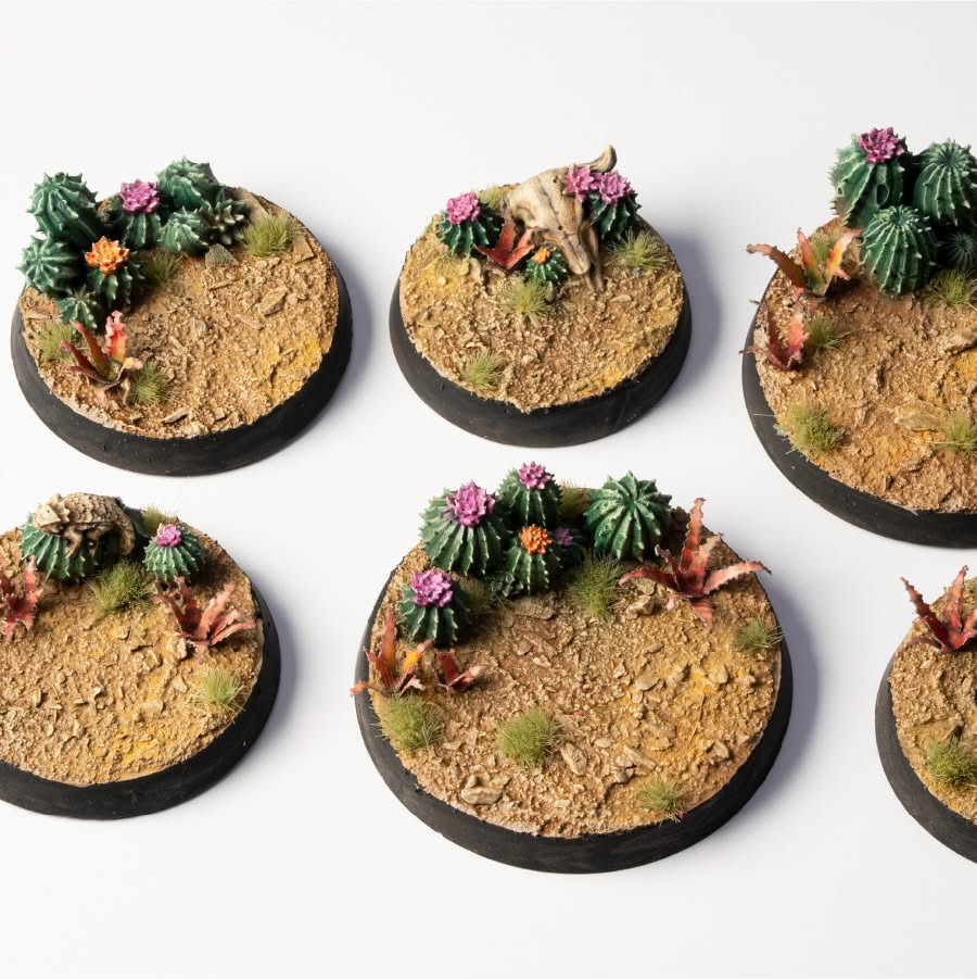 5_Barrel Cacti_Bases_900x900-100