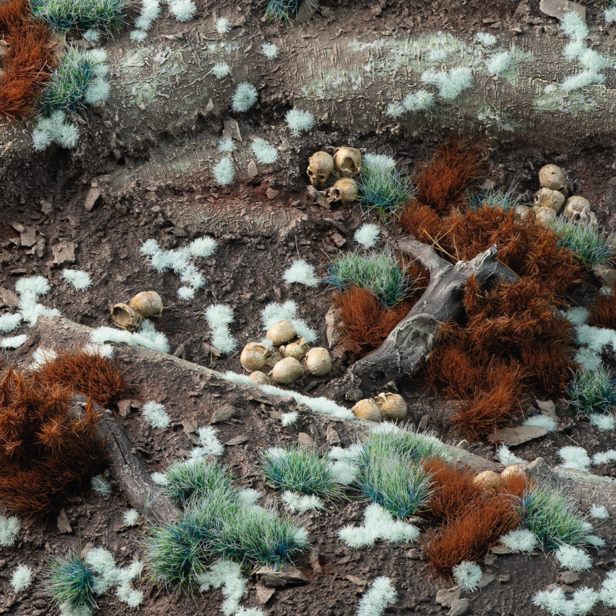 3_Tiny-Pale-Teal-1mm_Diorama_900x900