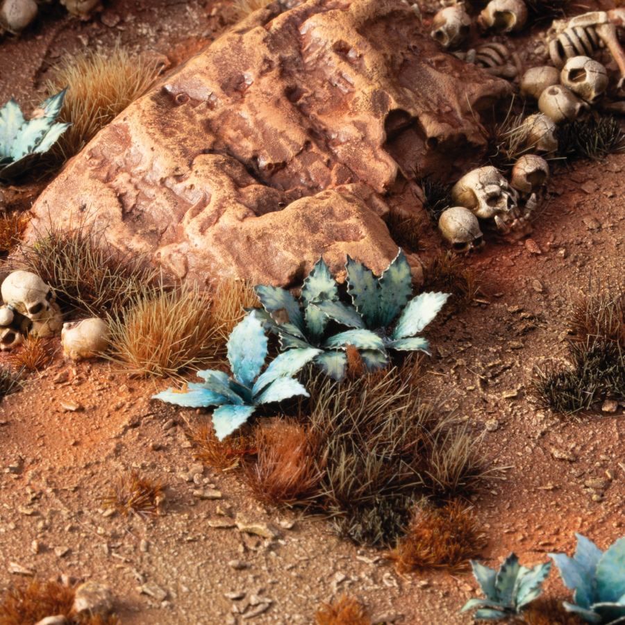 5_Blue-Agave_Diorama_900x900