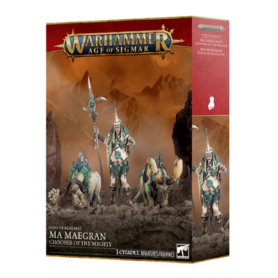 https___trade.games-workshop.com_assets_2026_09_99120231001_SonsofBehematMaMaegran09