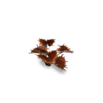 080089_6c5ad751523c4d94ac7a9a1c6587d72e~mv2