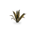 080089_885fde8df45042b68c8c2d948f7d4cb7~mv2