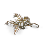 080089_70c22dbb4d644f9db24e775db07f531f~mv2