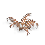 080089_54a60d1d5d6044d683ccb69863a75bc7~mv2