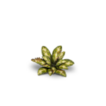 080089_085c5d4bffe54da990e3c462e1008ec1~mv2
