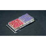 080089_49a07f770cd84061ab81b14d09fc9299~mv2