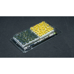 080089_0578f1d227094bc397fbec31ffa459ff~mv2