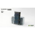bluebeard-flowers-blister-1600x900