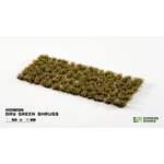dry-green-shrubs-sheet-1600x900