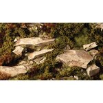 dry-green-shrubs-diorama-1600x900