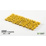 broom-flowers-sheet-1600x900