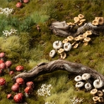 2_Forest Mushrooms_Diorama_900x900-100