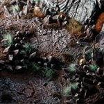 2_Chaos Shards_Diorama_900x900-100