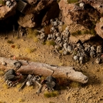 2_Skulls & Bones_Diorama_900x900-100
