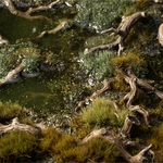 2_Gnarled Branches_Diorama_900x900-100