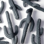 3_Saguaro Cacti_Detalhe-1_900x900-100