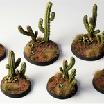 5_Saguaro Cacti_Bases_900x900-100