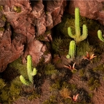 2_Saguaro Cacti_Diorama_900x900-100