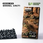 1_Barrel Cacti_Produto_900x900-100
