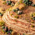 2_Barrel Cacti_Diorama_900x900-100