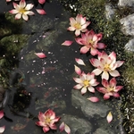 4_Lotus-Flower_Diorama_900x900