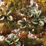 5_Bugloss_Diorama_900x900