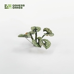 2_Bugloss_Detail_900x900