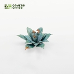 2_Blue-Agave_Detail_900x900