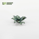3_Blue-Agave-2_Detail_900x900