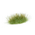 080089_e440284db07b4965a28cd91ee862cc36~mv2