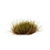 080089_1d9ecd28a1f44097b85c0c3a35c7a070~mv2