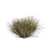 080089_729765dae29742ec9753615cf7a07329~mv2