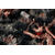 080089_185c145b96df44c8afb4f8f1d5920159~mv2