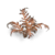 080089_830c1e49beb74cb696dba6b68b254b10~mv2