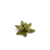 080089_b01dab5e78d1427a913dfe3693b5d35f~mv2